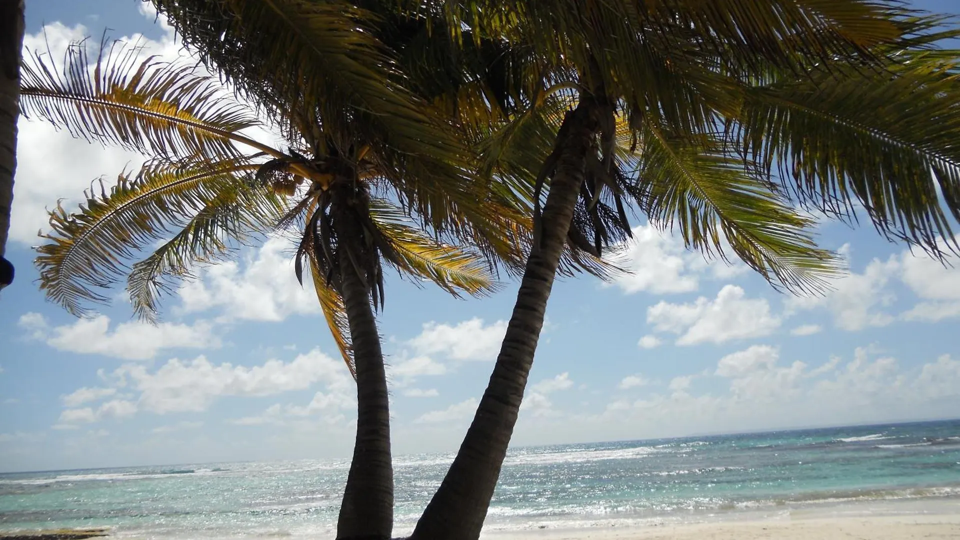 Studio Ti'Peneque Village Vacances St Anne Sainte-Anne  0*, Sainte-Anne (Grande-Terre) Guadeloupe