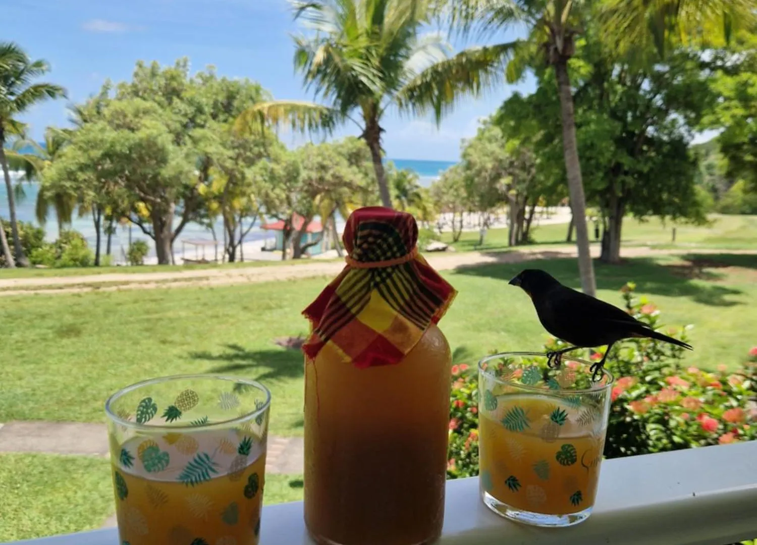 Studio Ti'Peneque Village Vacances St Anne Sainte-Anne